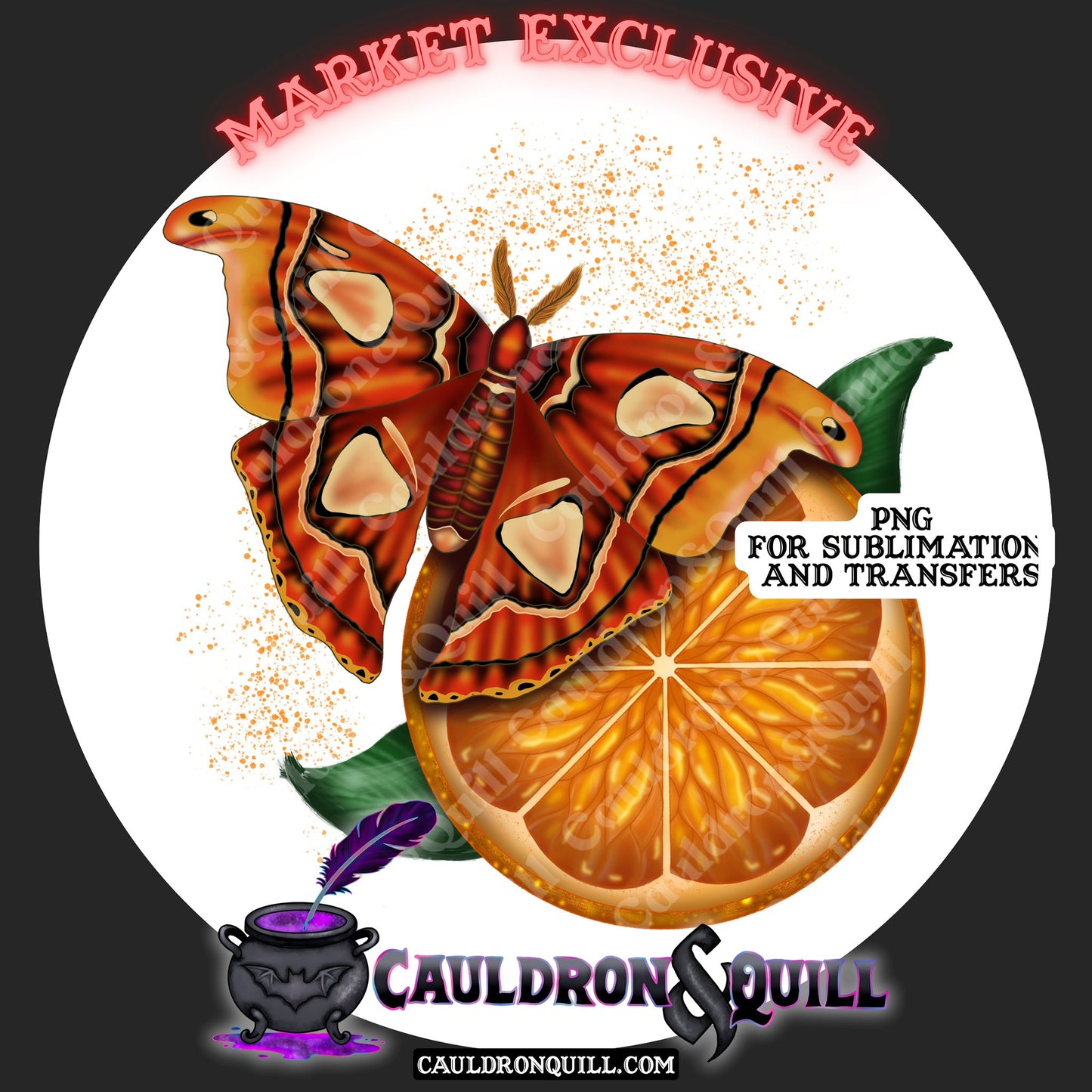 Atlas Moth Sub